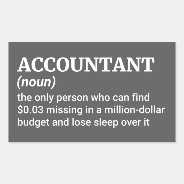 Accountant : One Who Fixes Your Financial Mistakes Rectangular Sticker (Front)