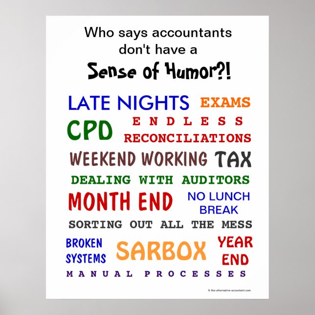 Accountant Sense of Humour Funny Motivational Poster (Front)