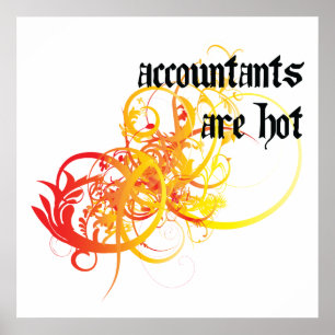 Accountants Are Hot Poster