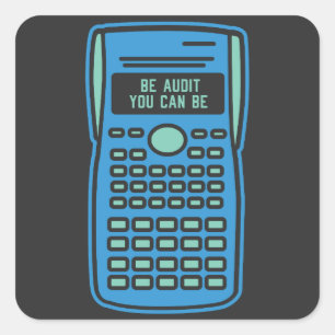 Accounting - Be Audit You Can Be Square Sticker