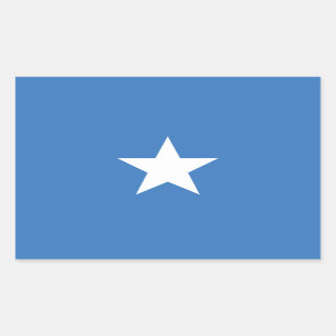 ACCURATE Bonnie Blue Flag Glossy Rectangle Sticker