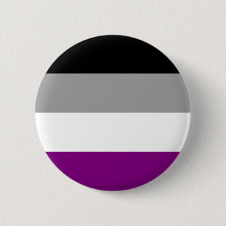 Ace Asexual Pride Flag Button