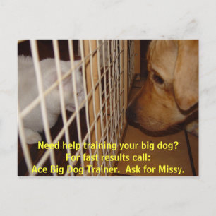 Ace Big Dog Trainer Postcard