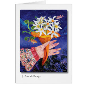 Ace di Fungi
