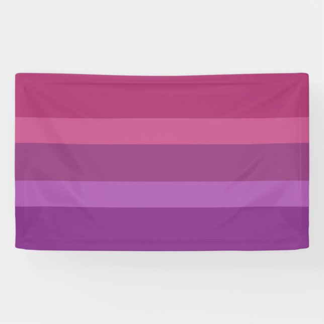 Aceflux Pride Banner (Horizontal)