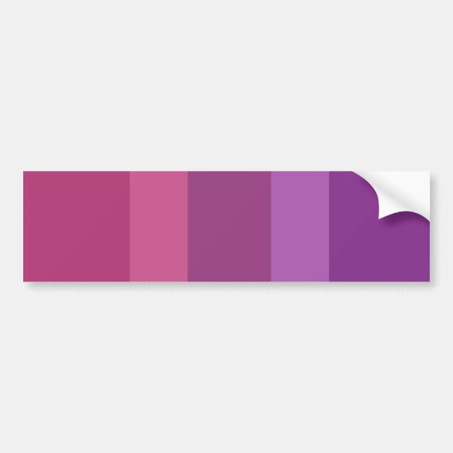 Aceflux Pride Bumper Sticker (Front)