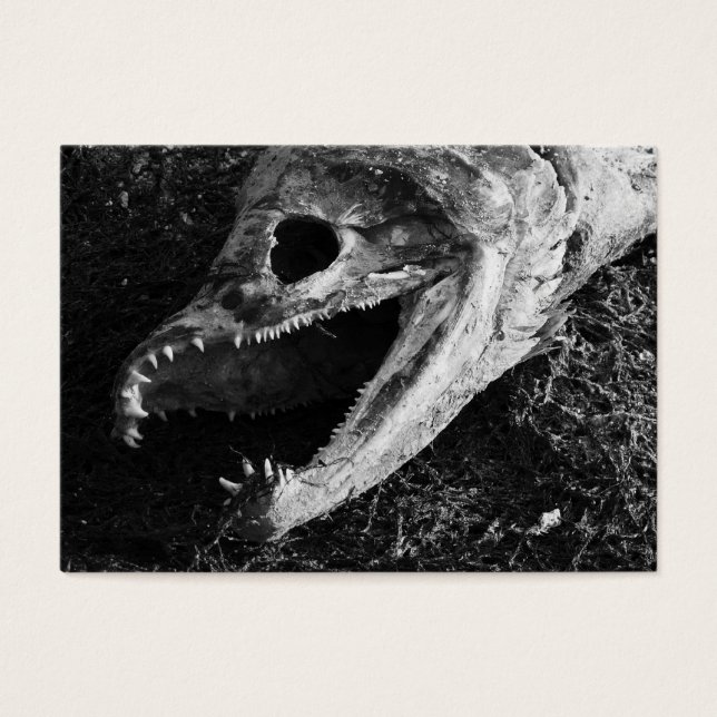 ACEO Rotting Salmon Fish Head Black & White (Front)