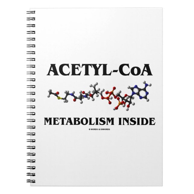 Acetyl-CoA Metabolism Inside (Chemical Molecule) Notebook (Front)