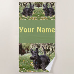 Ach beach towel
