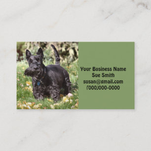 Ach Business Card