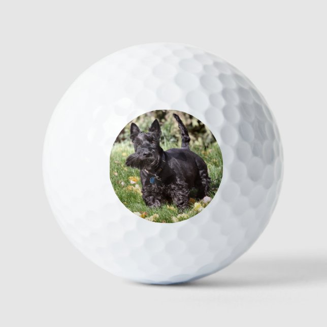 Ach Golf Balls (Front)