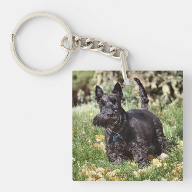 Ach!  key ring (Front)