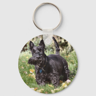 Ach Key Ring