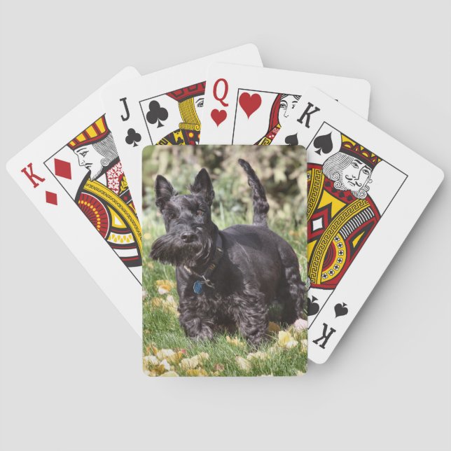 Ach Playing Cards (Back)