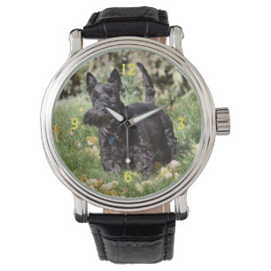 Ach Watch