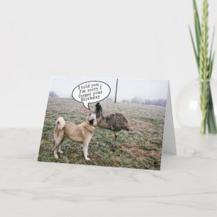 Achai & Emu Card