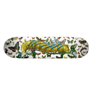 Acherontia atropos caterpillar skateboard