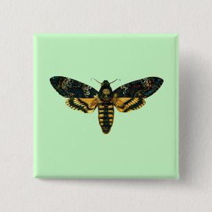Acherontia atropos (Death's Head Hawkmoth) 15 Cm Square Badge