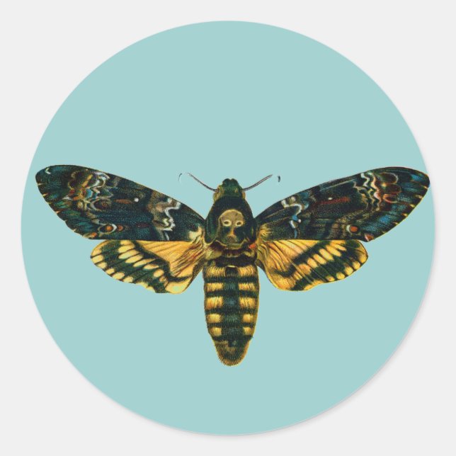 Acherontia atropos (Death's Head Hawkmoth) Classic Round Sticker (Front)
