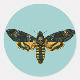 Acherontia atropos (Death's Head Hawkmoth) Classic Round Sticker