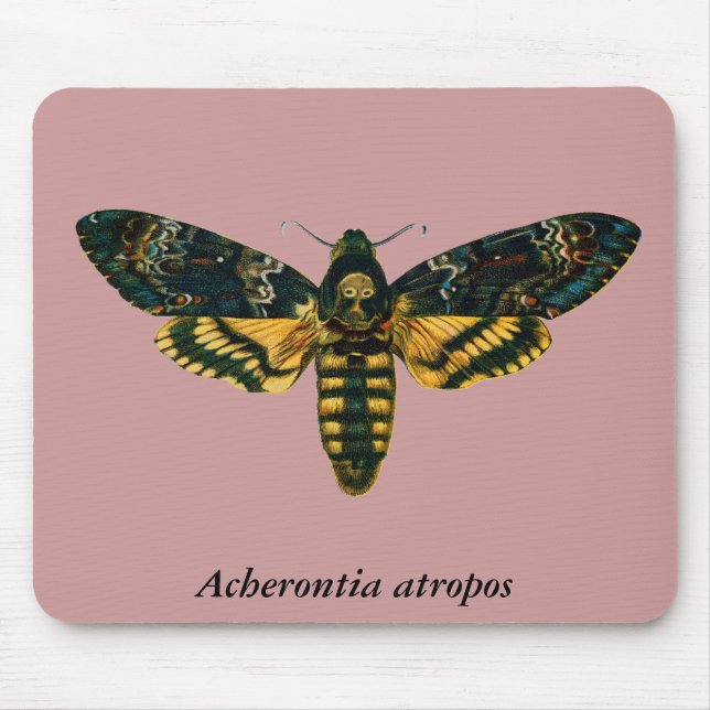 Acherontia atropos mouse mat (Front)