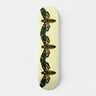 Acherontia atropos skateboard
