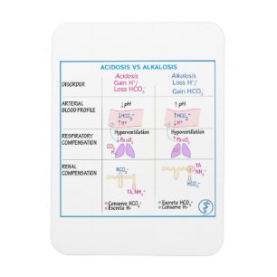 Acidosis vs Alkalosis Magnet