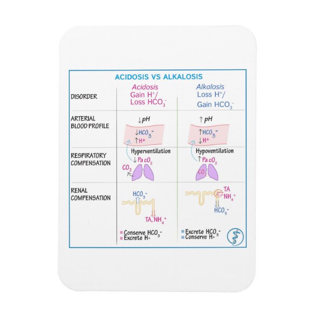 Acidosis vs Alkalosis Magnet (Vertical)