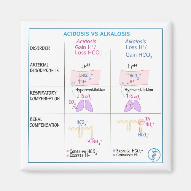 Acidosis vs. Alkalosis Magnet (Nonflexible) (Front)