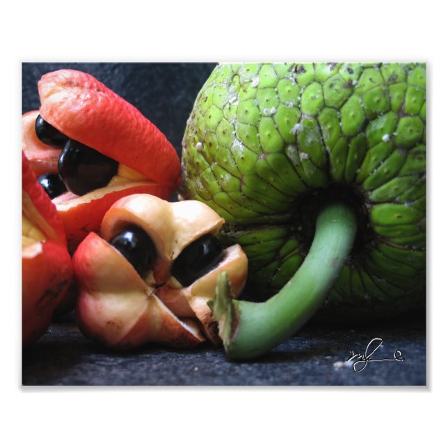 Ackee and Breadfruit Photo Print (Front)
