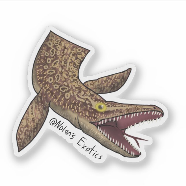 Ackie monitor-Mosasaurus sticker (Front)