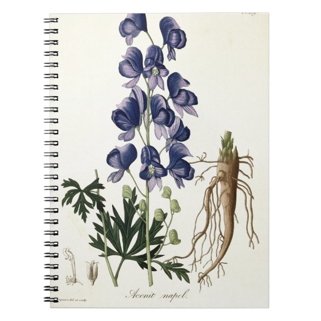 Aconitum Napellus from 'Phytographie Medicale' by Notebook (Front)