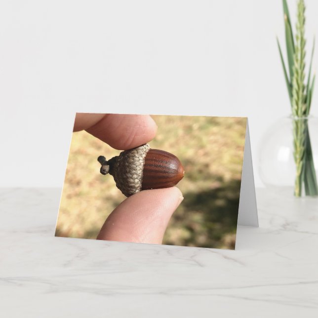Acorn Card (Front)