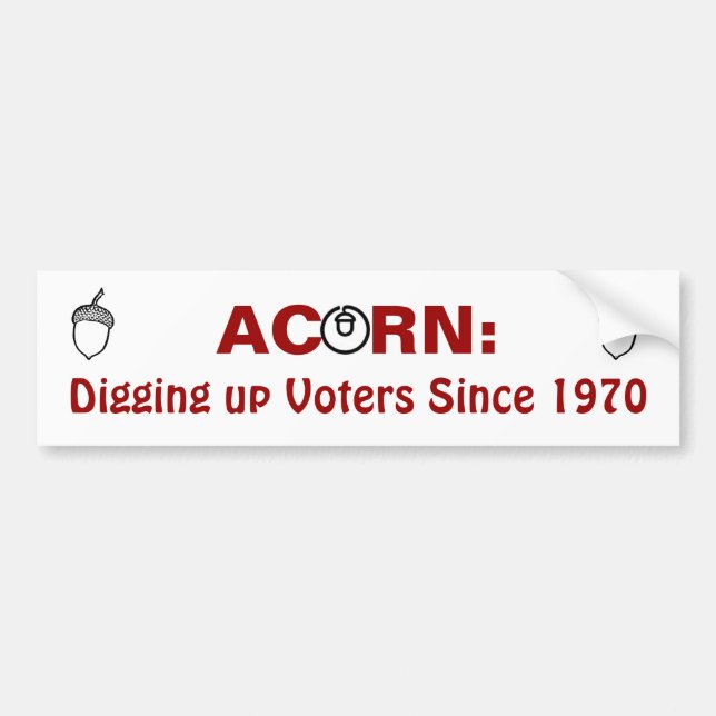 Acorn:Digging up Voters Since 1970 Bumper Sticker (Front)