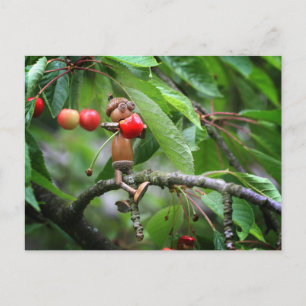 Acorn elf eating cherries on the tree summer  postcard