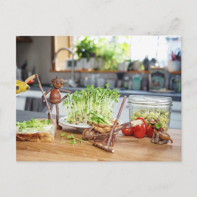 Acorn elf is harvesting green herbs in the kitchen postcard (Front)
