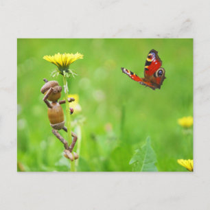 Acorn elf on dandelion with butterfly on meadow postcard