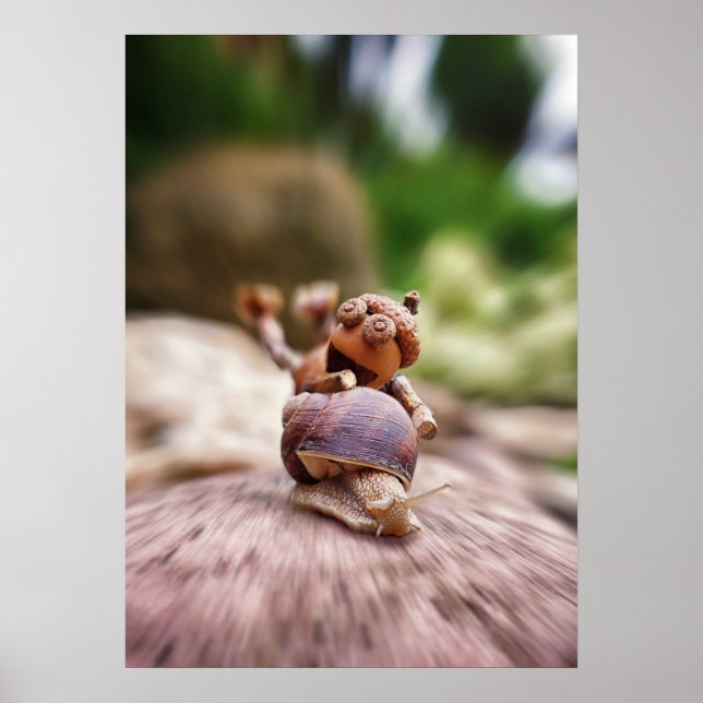Acorn elf riding on the snail poster (Front)