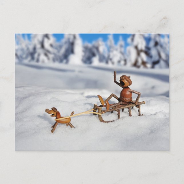 Acorn Elf Sledding with a Dog Postcard (Front)