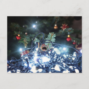 Acorn elf tangled in Christmas lights - Christmas Postcard