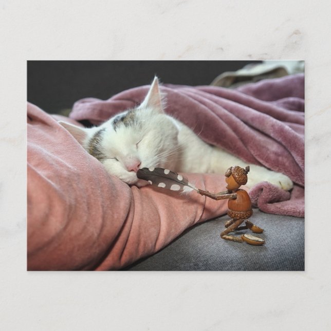 Acorn elf teasing cat postcard (Front)
