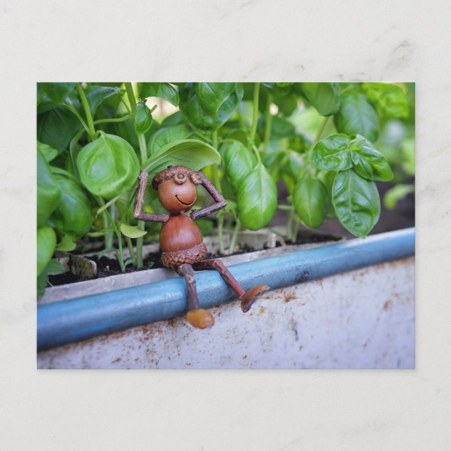 Acorn Elf with Basil Plants Postcard (Front)