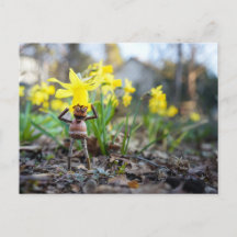 Acorn elf with daffodil flower spring postcard