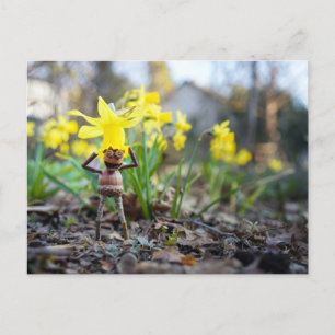 Acorn elf with daffodil flower spring postcard