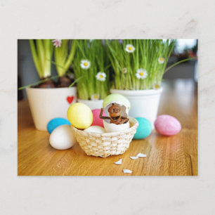 Acorn elf with Easter eggs Easter Postcard