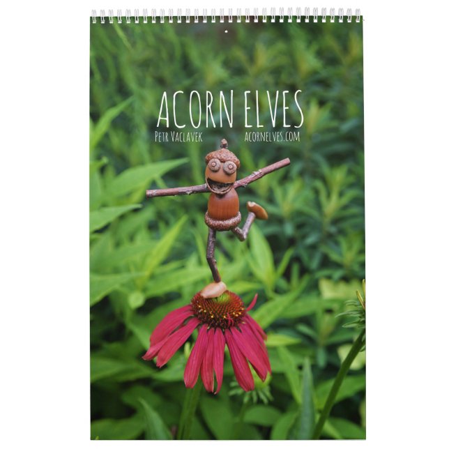 Acorn Elves / Dubanci photo calendar (Cover)