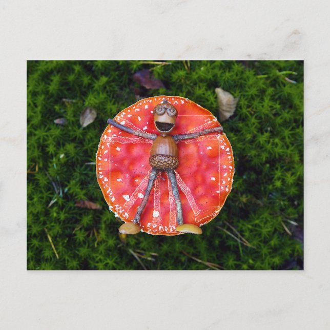 Acorn elves like Leonardo laying on the mushroom  Postcard (Front)
