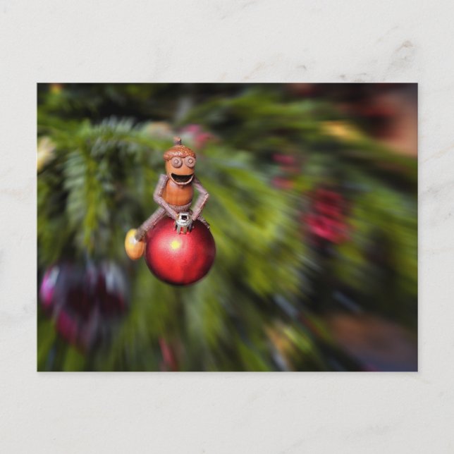 Acorn elves on the Christmas decoration Christmas Postcard (Front)