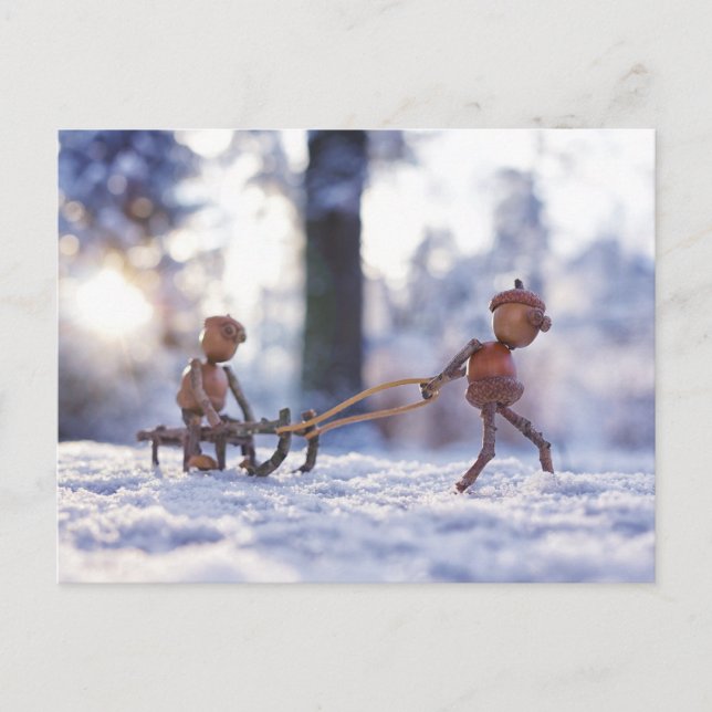 Acorn elves ride on a sleigh winter postcard (Front)