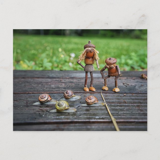Acorn elves watch the snail races - funny  postcard (Front)